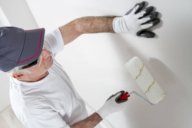 Best Attic Mold Removal  in Clay City, KY