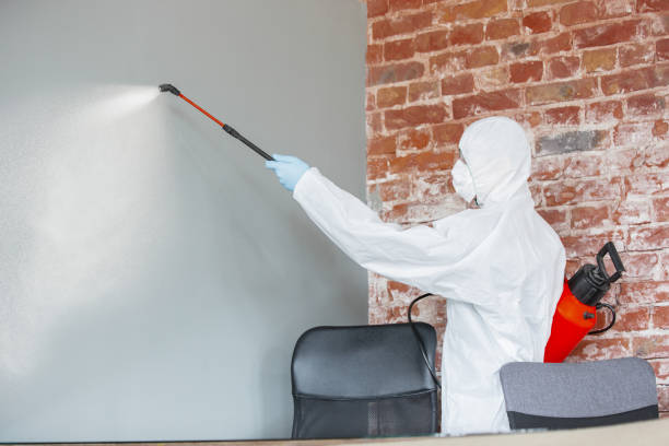 Reliable Clay City, KY Mold Removal Solutions