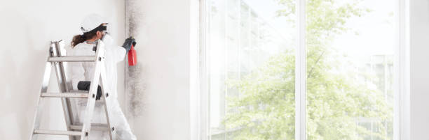Best Indoor Air Quality Assessment  in Clay City, KY